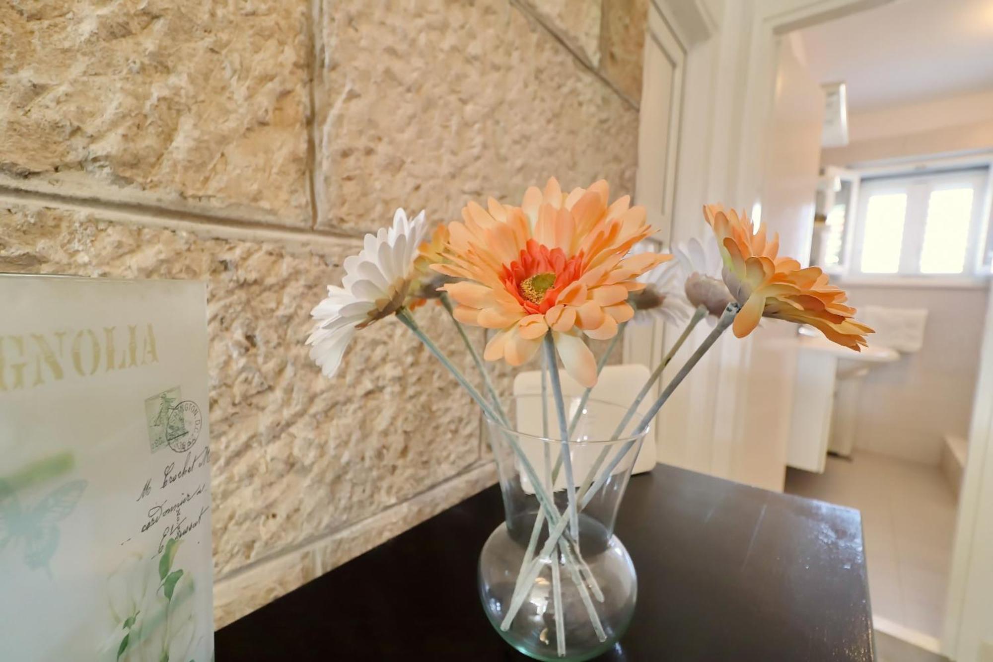 Zrnovo Villa Ivana מראה חיצוני תמונה